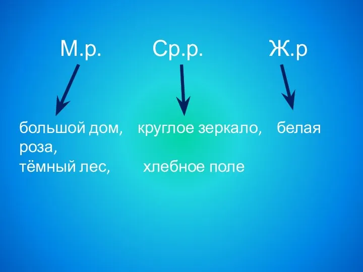 М.р. Ср.р. Ж.р большой дом, круглое зеркало, белая роза, тёмный лес, хлебное поле