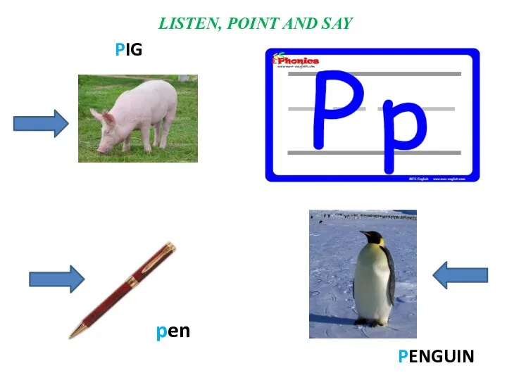pen PIG PENGUIN LISTEN, POINT AND SAY