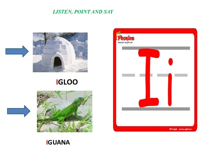 LISTEN, POINT AND SAY IGLOO IGUANA