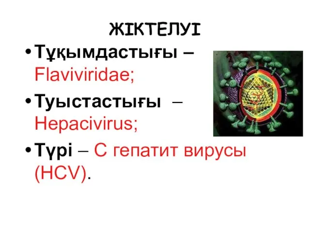 ЖІКТЕЛУІ Тұқымдастығы – Flaviviridae; Туыстастығы – Hepacivirus; Түрі – С гепатит вирусы (HCV).
