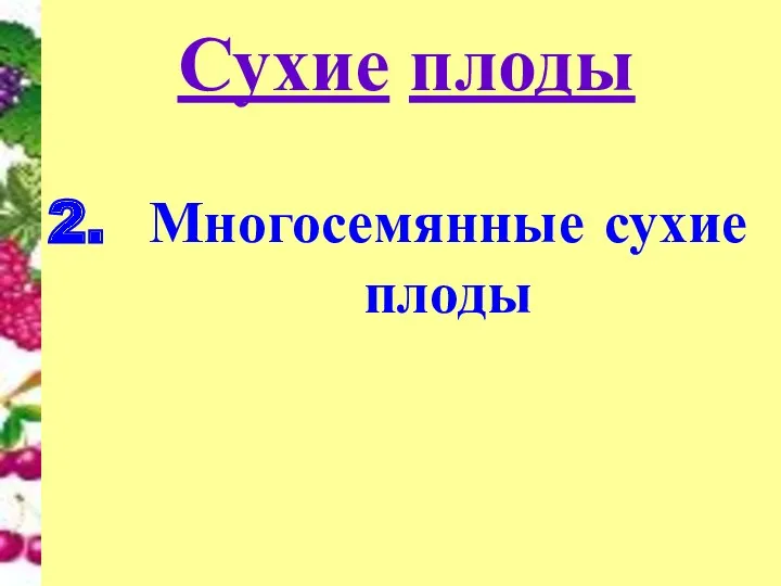 Многосемянные сухие плоды Сухие плоды