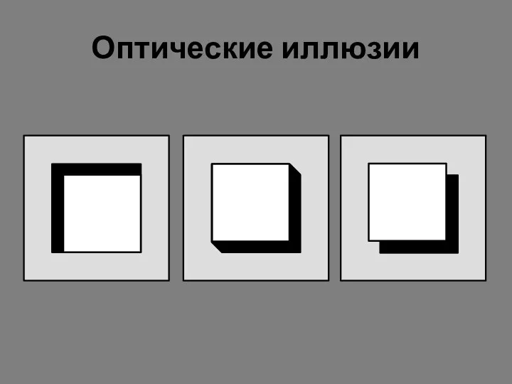 Оптические иллюзии