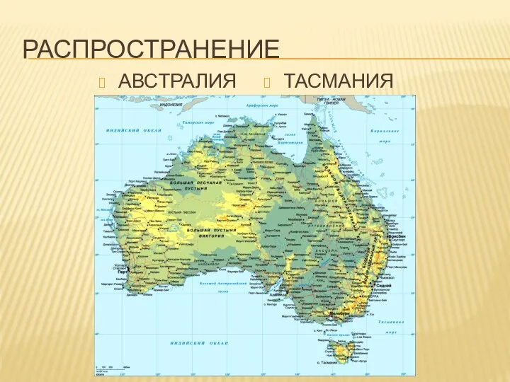 РАСПРОСТРАНЕНИЕ АВСТРАЛИЯ ТАСМАНИЯ