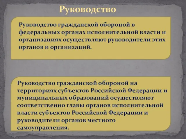 Руководство Руководство гражданской обороной в федеральных органах исполнительной власти и организациях осуществляют руководители