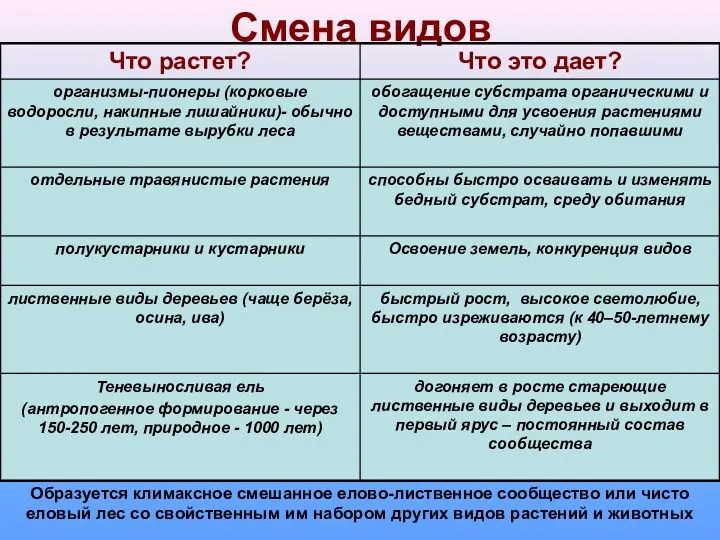 Смена видов Образуется климаксное смешанное елово-лиственное сообщество или чисто еловый