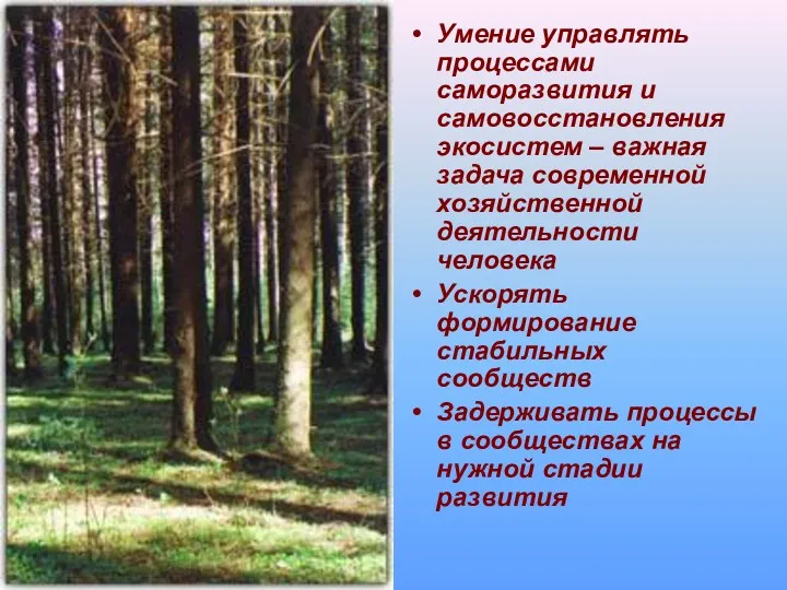 Умение управлять процессами саморазвития и самовосстановления экосистем – важная задача