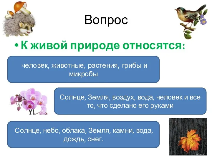 Вопрос К живой природе относятся: человек, животные, растения, грибы и микробы Солнце, небо,