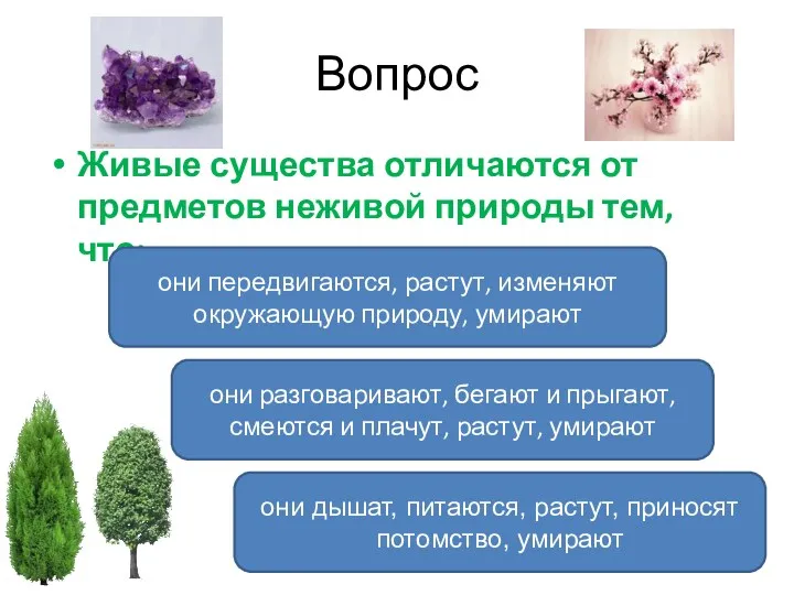 Вопрос Живые существа отличаются от предметов неживой природы тем, что: они дышат, питаются,