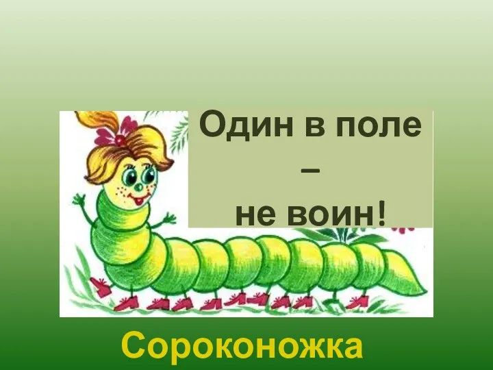 Один в поле – не воин! Сороконожка