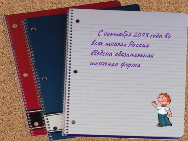 С сентября 2013 года во всех школах России введена обязательная школьная форма