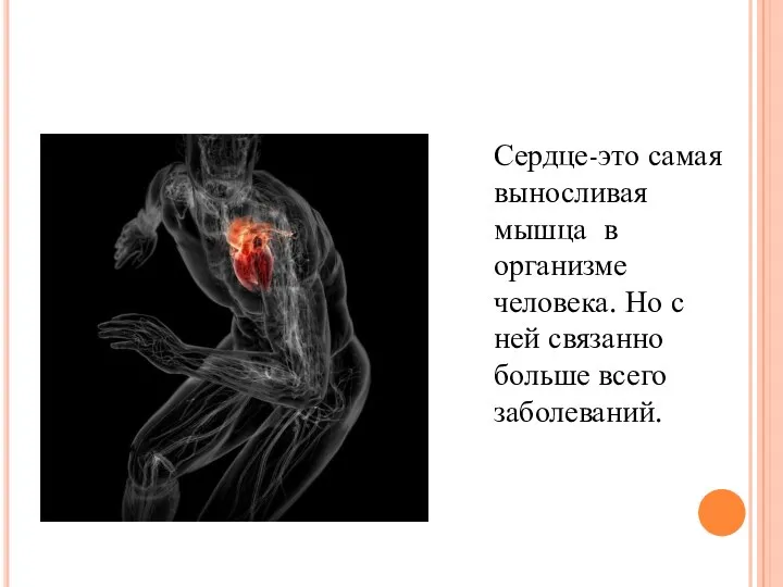 Сердце-это самая выносливая мышца в организме человека. Но с ней связанно больше всего заболеваний.