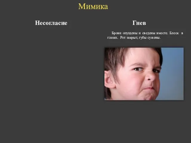 Несогласие Гнев Брови опущены и сведены вместе. Блеск в глазах. Рот закрыт, губы сужены. Мимика