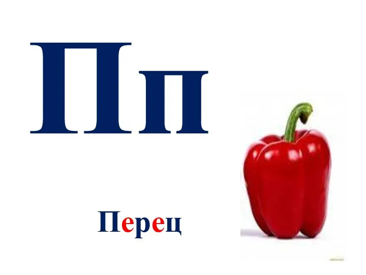 Перец Пп