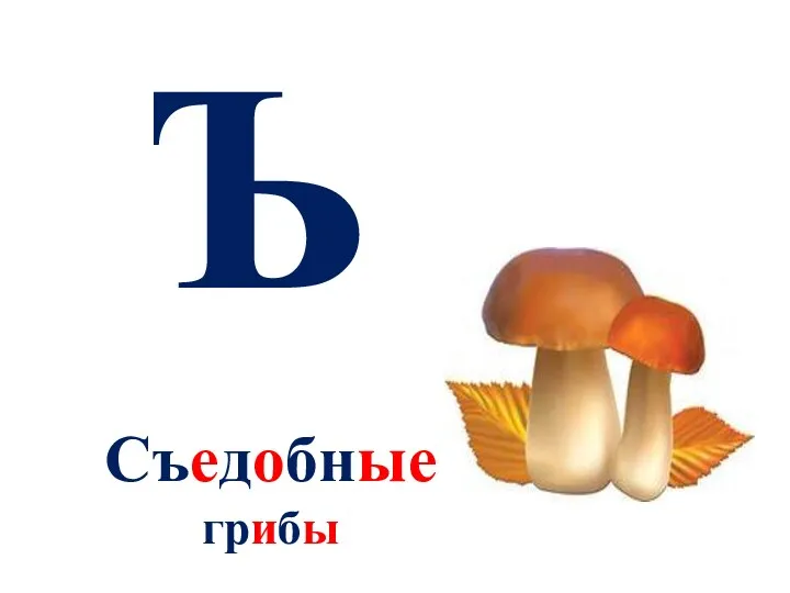 Ъ Съедобные грибы