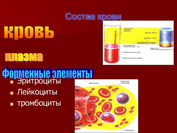 - Эритроциты Лейкоциты тромбоциты кровь Состав крови Форменные элементы плазма