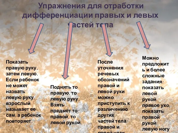 Упражнения для отработки дифференциации правых и левых частей тела Показать