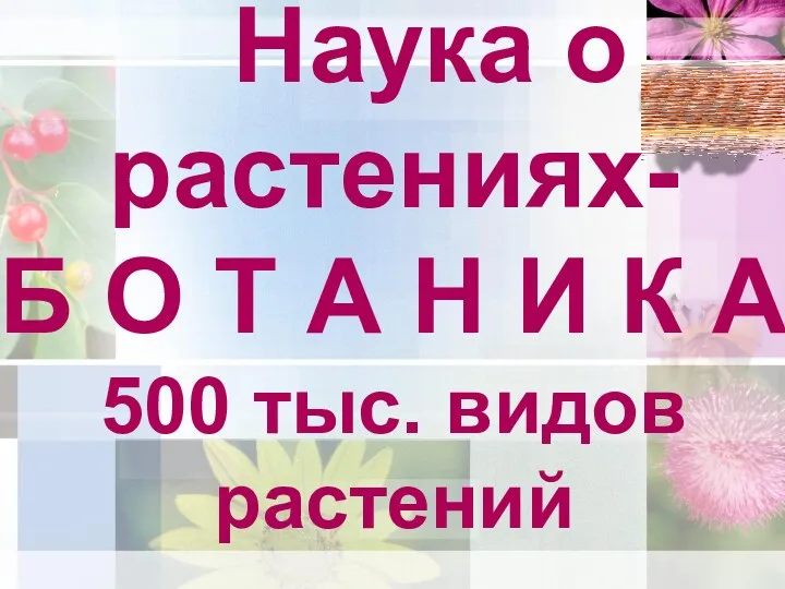 Наука о растениях- Б О Т А Н И К А 500 тыс. видов растений