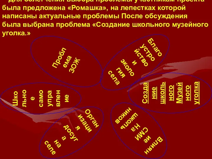 Для облегчения выбора проблемы участникам проекта была предложена «Ромашка», на