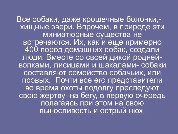 Все собаки, даже крошечные болонки,- хищные звери. Впрочем, в природе