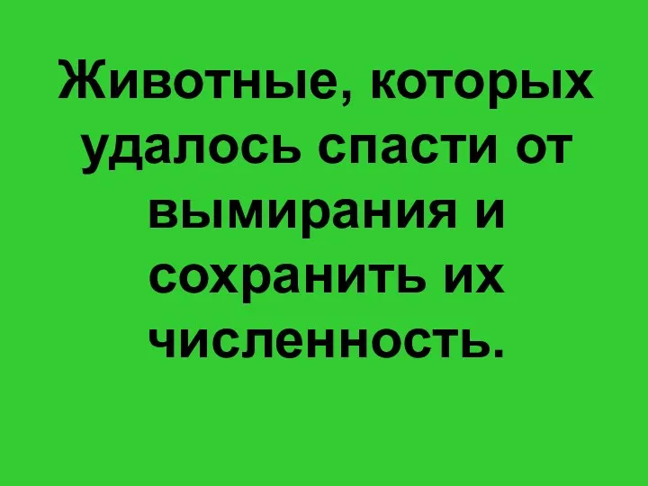 Животные, которых удалось спасти от вымирания и сохранить их численность.