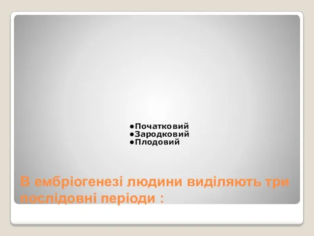 В ембріогенезі людини виділяють три послідовні періоди : Початковий Зародковий Плодовий