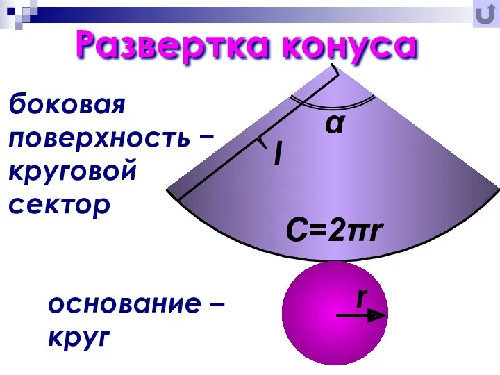 Развертка конуса боковая поверхность − круговой сектор основание – круг l C=2πr