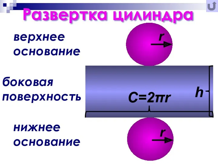 верхнее основание нижнее основание боковая поверхность Развертка цилиндра