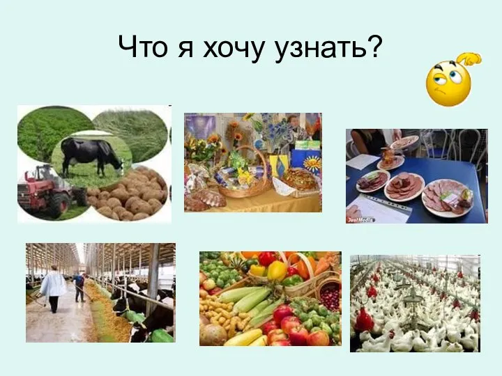 Что я хочу узнать?