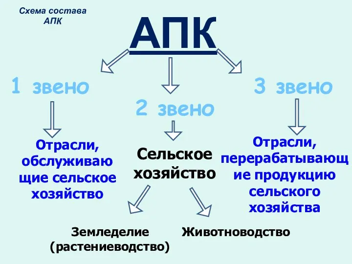 АПК 1 звено 2 звено 3 звено Отрасли, обслуживаю щие