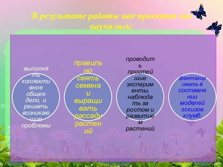 В результате работы над проектом мы научились: