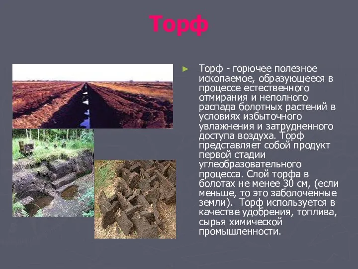 Торф Торф - горючее полезное ископаемое, образующееся в процессе естественного отмирания и неполного