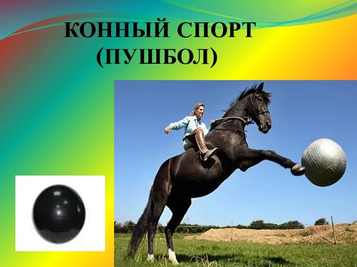 КОННЫЙ СПОРТ (ПУШБОЛ)