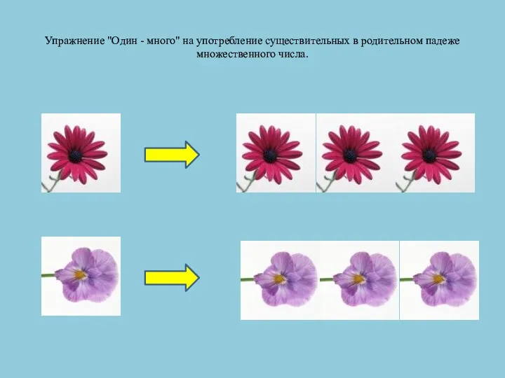 Упражнение "Один - много" на употребление существительных в родительном падеже множественного числа.