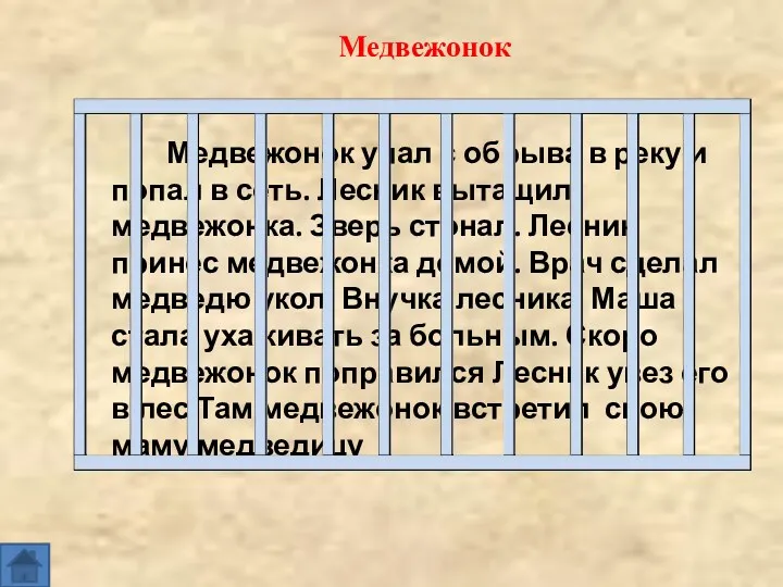 Медвежонок упал с обрыва в реку и попал в сеть.