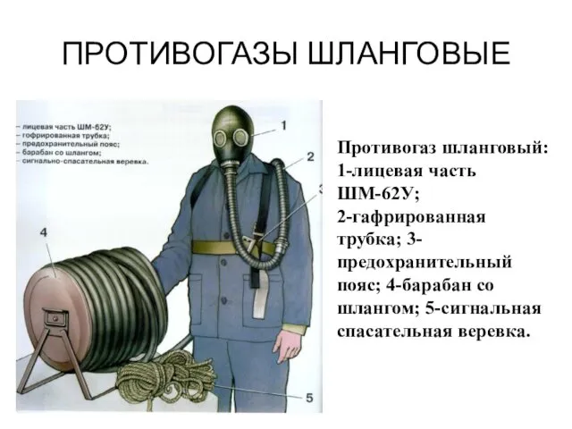 ПРОТИВОГАЗЫ ШЛАНГОВЫЕ Противогаз шланговый: 1-лицевая часть ШМ-62У; 2-гафрированная трубка; 3-предохранительный