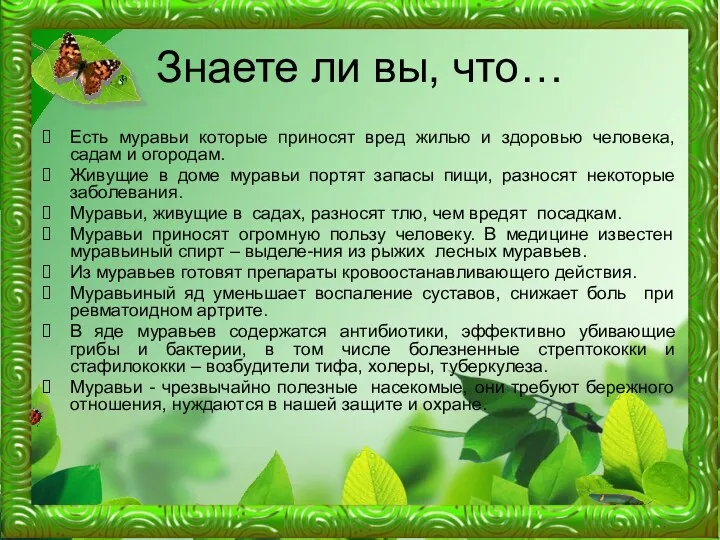 Знаете ли вы, что… Есть муравьи которые приносят вред жилью и здоровью человека,