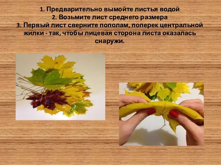 1. Предварительно вымойте листья водой 2. Возьмите лист среднего размера 3. Первый лист