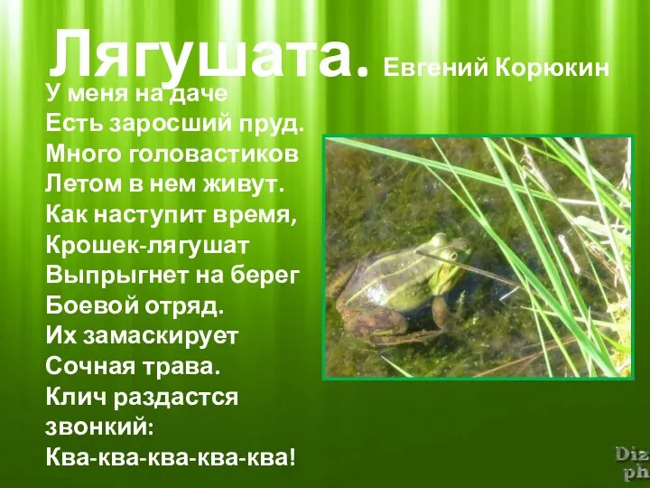 Лягушата. Евгений Корюкин