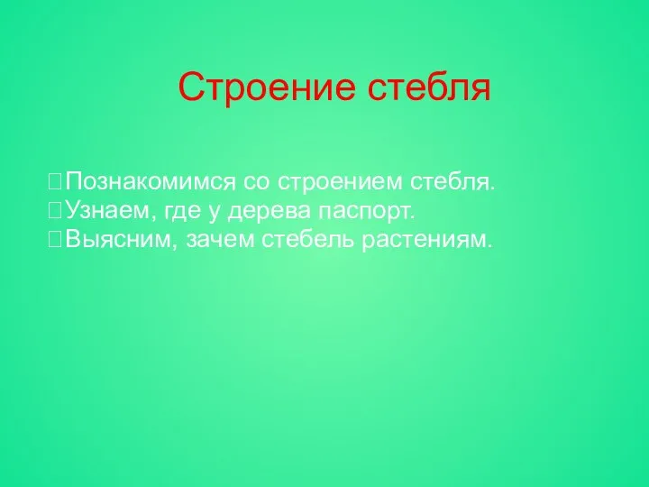 Строение стебля Познакомимся со строением стебля. Узнаем, где у дерева паспорт. Выясним, зачем стебель растениям.