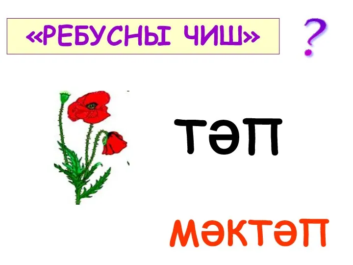 «РЕБУСНЫ ЧИШ» ТӘП МӘКТӘП ?