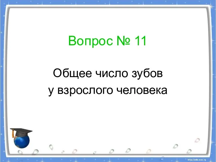 Вопрос № 11 Общее число зубов у взрослого человека