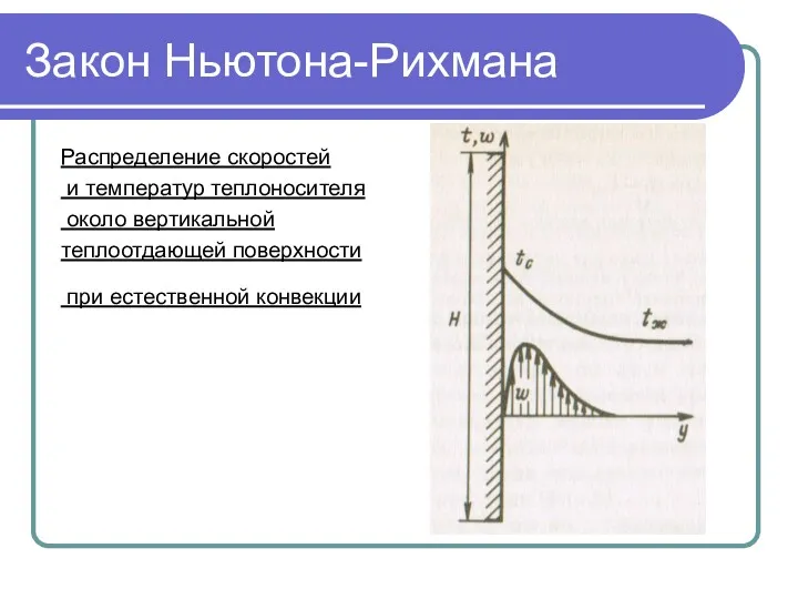 Закон Ньютона-Рихмана Распределение скоростей и температур теплоносителя около вертикальной теплоотдающей поверхности при естественной конвекции