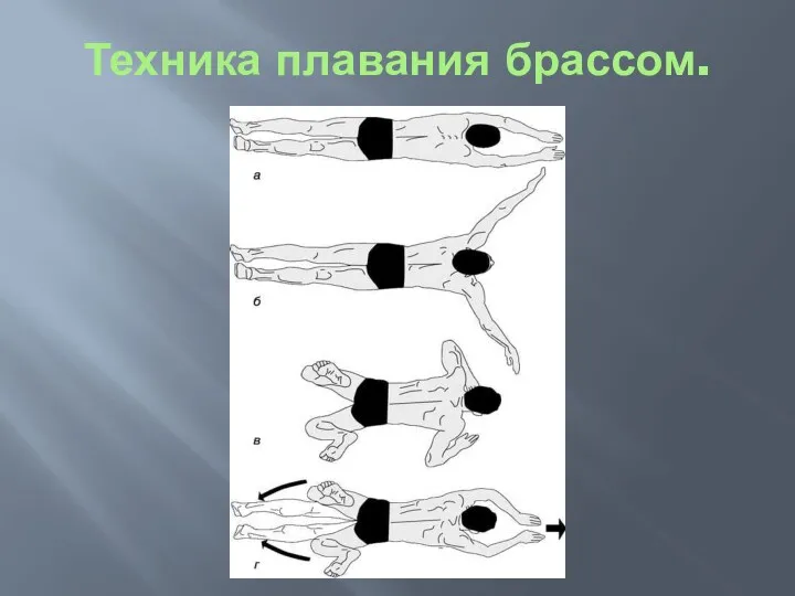 Техника плавания брассом.