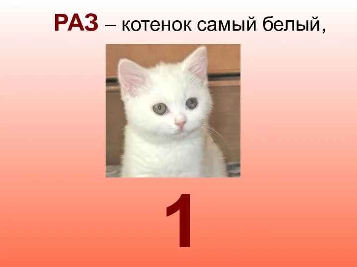РАЗ – котенок самый белый, 1