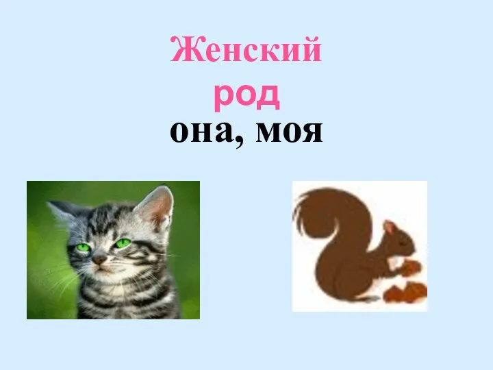 Женский род она, моя