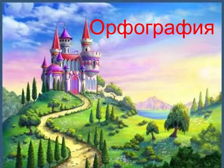 Орфография