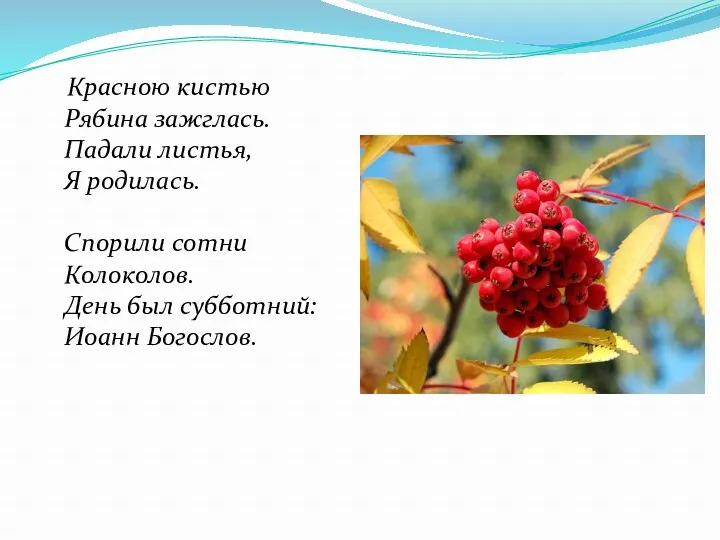 Красною кистью Рябина зажглась. Падали листья, Я родилась. Спорили сотни Колоколов. День был субботний: Иоанн Богослов.