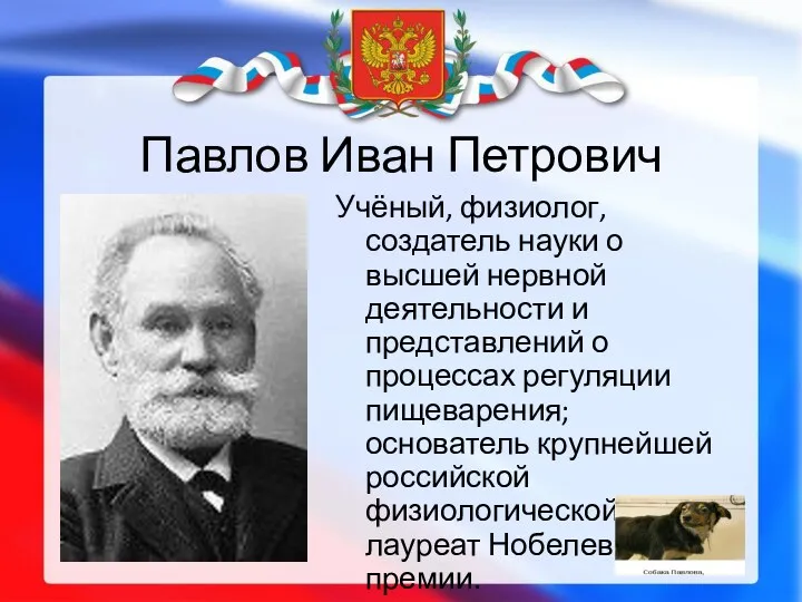 Павлов Иван Петрович Учёный, физиолог, создатель науки о высшей нервной