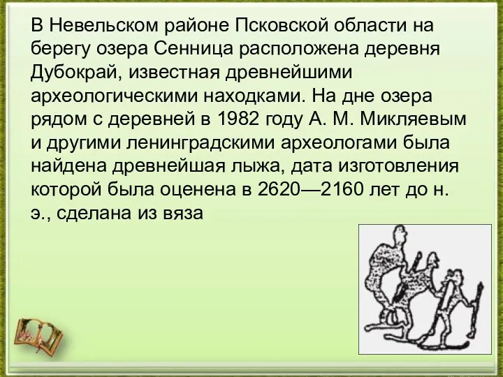 В Невельском районе Псковской области на берегу озера Сенница расположена