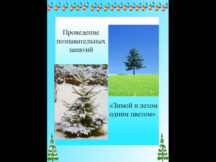 Проведение познавательных занятий . «Зимой и летом одним цветом»